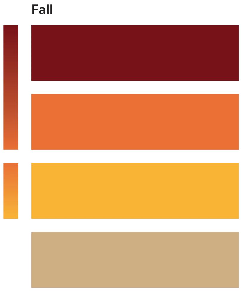 Fall Colour Palette