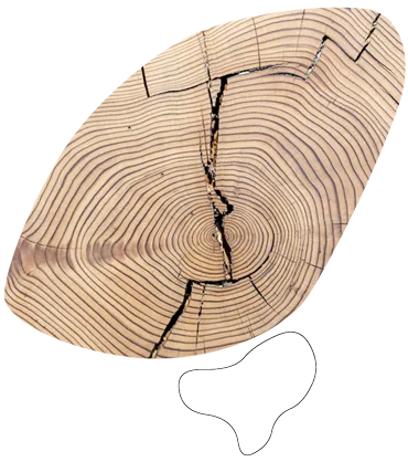 A wooden object shaped like a leaf, showing visible tree rings and several natural cracks; a smaller, irregular outline sits below it on a light background.