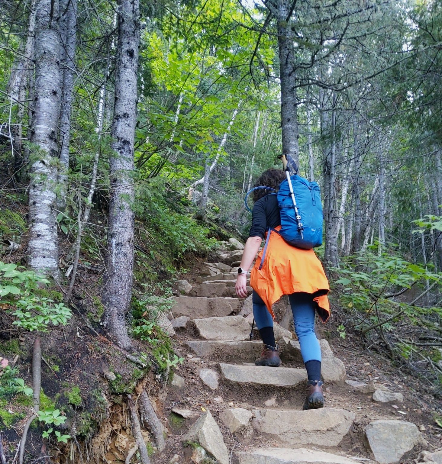 A person with a blue backpack and orange jacket tied around their waist hikes up a rocky, forested trail surrounded by tall trees and lush greenery.