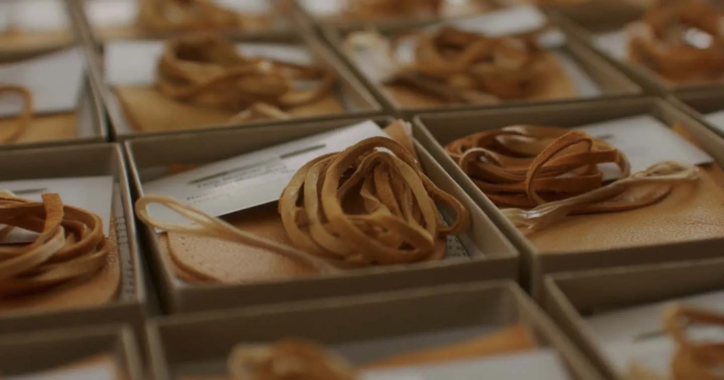 Close-up of several small boxes containing coiled tan leather straps and cards, neatly arranged in rows. The focus is on the textured leather and the organized presentation of each box.