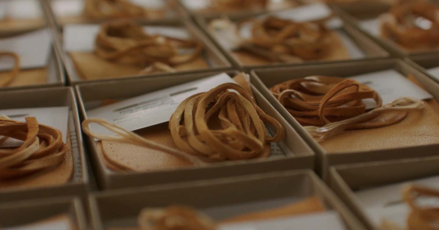 Close-up of several small boxes containing coiled tan leather straps and cards, neatly arranged in rows. The focus is on the textured leather and the organized presentation of each box.