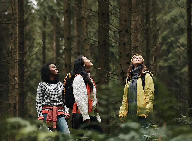 Group of people in outdoor gear in a forest looking up