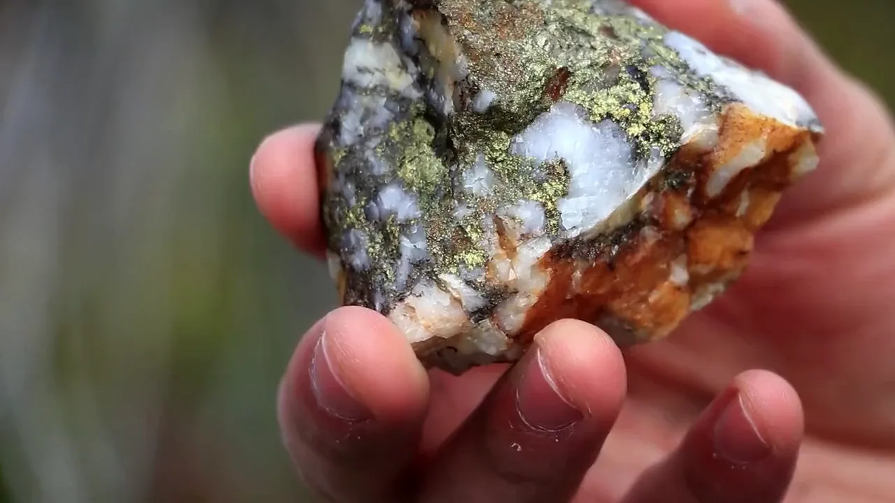 A close-up of a hand holding a rough rock with white, gold, and brown mineral streaks and patches, showing the stone’s natural, unpolished texture.